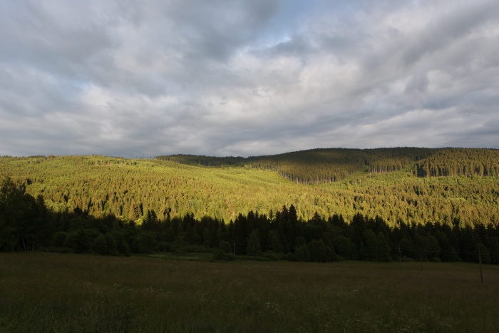 Boubínský prales a  rozhledna