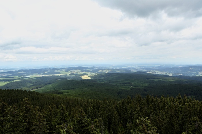 Boubínský prales a  rozhledna