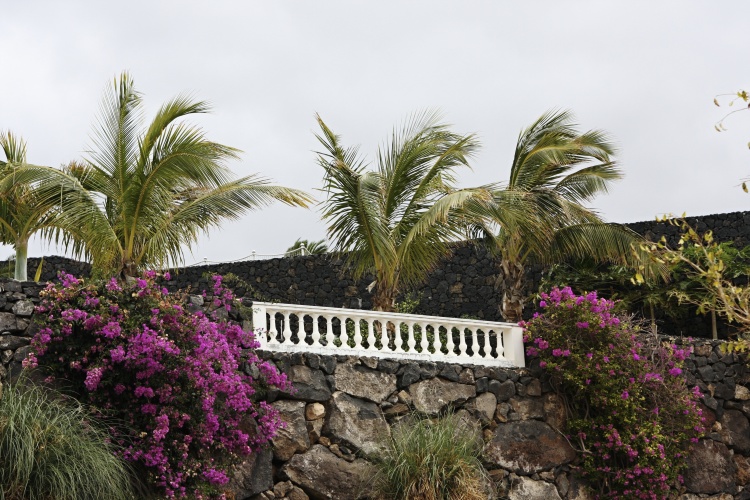 Lanzarote - Kanárské  ostrovy