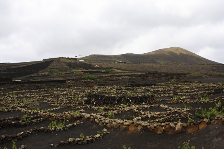 Lanzarote - Kanárské  ostrovy