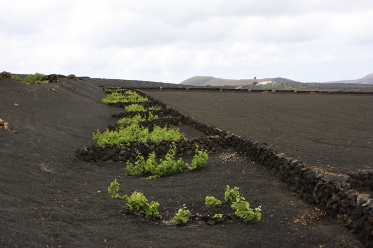 Lanzarote - Kanárské  ostrovy