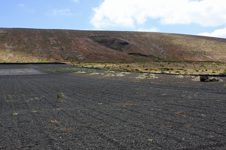 Lanzarote - Kanárské  ostrovy