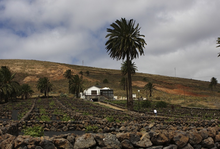 Lanzarote - Kanárské  ostrovy