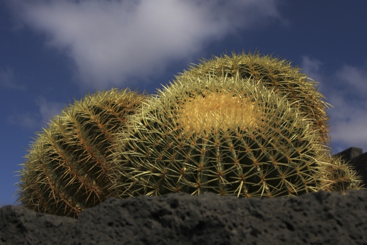 Lanzarote - Kanárské  ostrovy