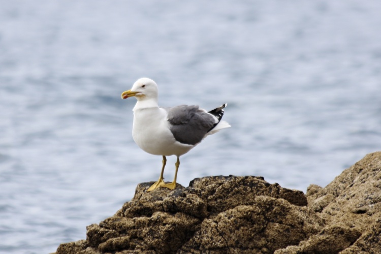 Lanzarote - Kanárské  ostrovy