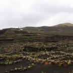 Lanzarote - Kanárské  ostrovy | fotografie