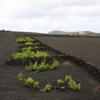 Lanzarote - Kanárské  ostrovy | fotografie