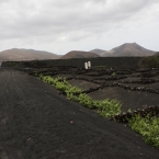 Lanzarote - Kanárské  ostrovy | fotografie